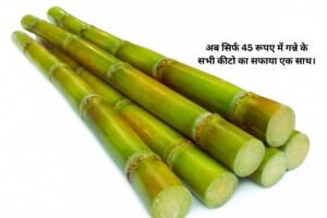 Sugarcane News